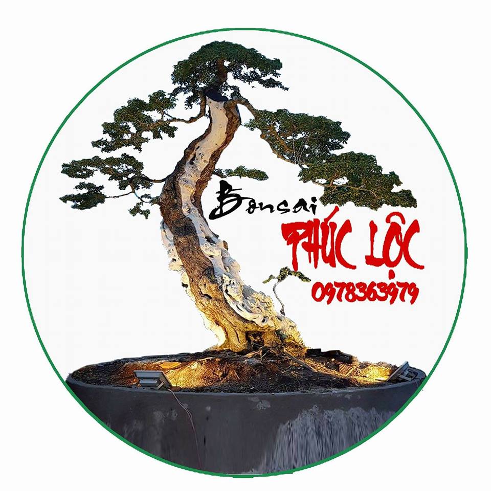Bonsai Phúc Lộc - Thương hiệu Bonsai Việt Nam